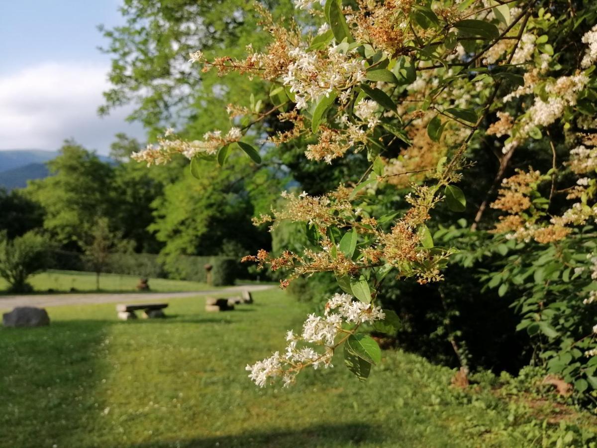 La Cordana Rooms Valdobbiadene Eksteriør bilde
